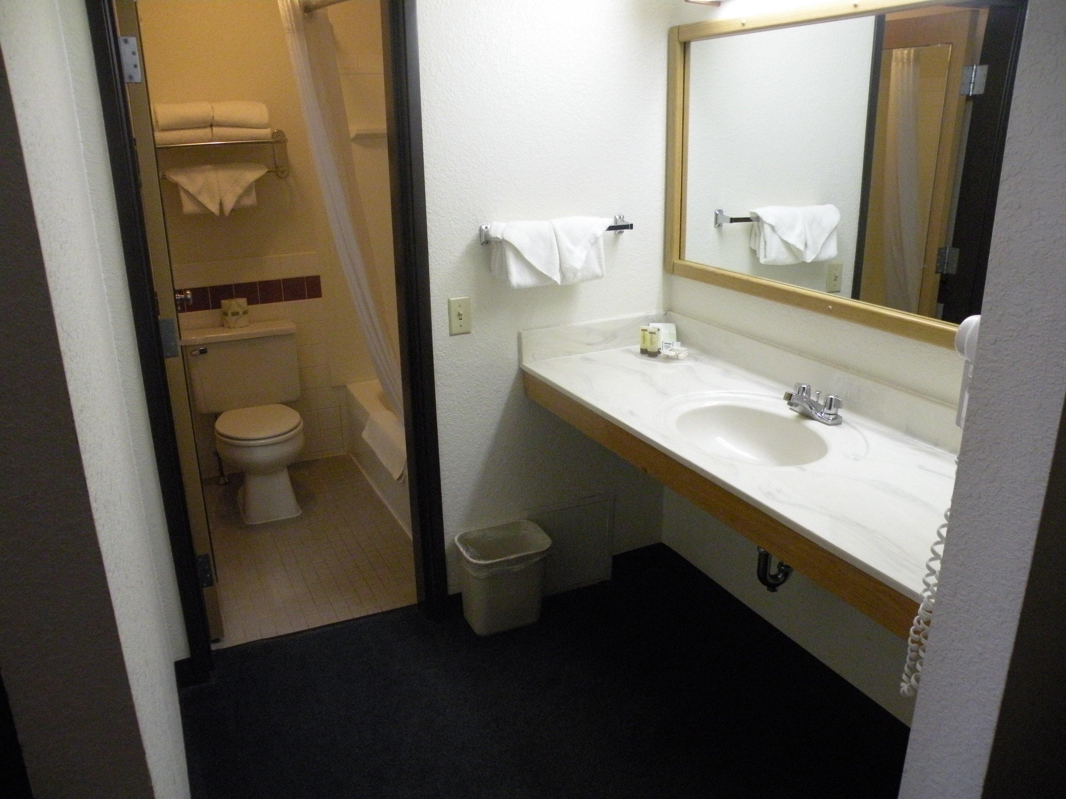 Ripon, WI - Boarders Inn & Suites-guestroom-Standard Bathroom.jpg
