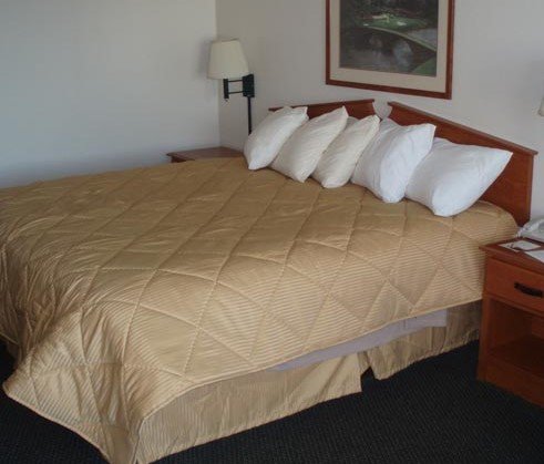 Ripon, WI - Boarders Inn & Suites-guestroom-Single King Guestroom.jpg