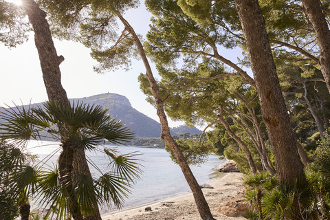 FOUR SEASONS RESORT MALLORCA AT FORMENTOR - Photo 98