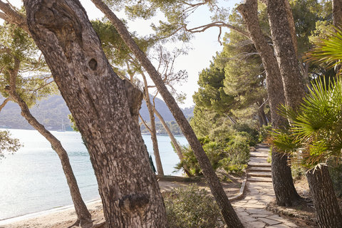 FOUR SEASONS RESORT MALLORCA AT FORMENTOR - Photo 99