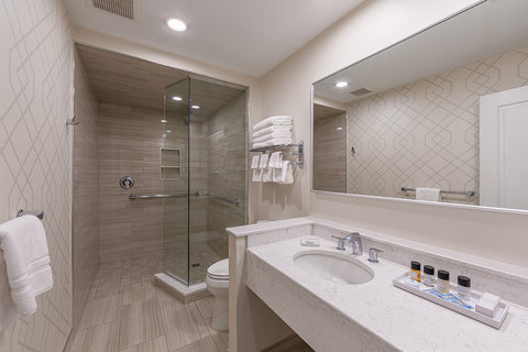 Deluxe Suite Bathroom