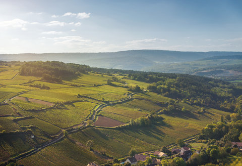 Burgundy Vineyards Aerial Views