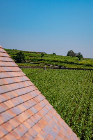 Clos de la Commaraine