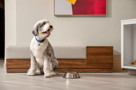 Snuggle up in our warm, pet-friendly hotel.