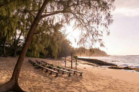 RITZ CARLTON OAHU TURTLE BAY - Photo 159
