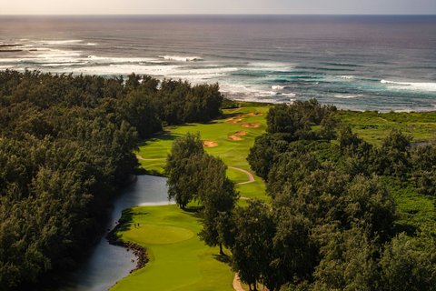 RITZ CARLTON OAHU TURTLE BAY - Photo 144