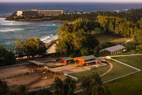 RITZ CARLTON OAHU TURTLE BAY - Photo 136