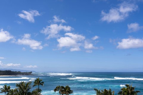 RITZ CARLTON OAHU TURTLE BAY - Photo 39