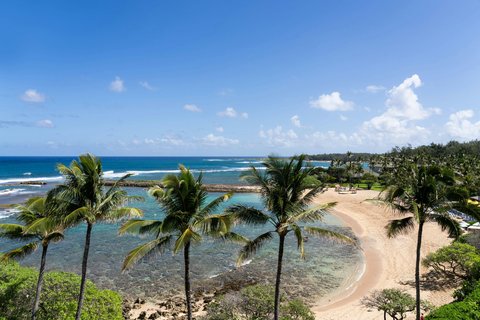 RITZ CARLTON OAHU TURTLE BAY - Photo 76
