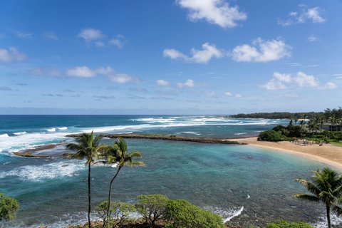 RITZ CARLTON OAHU TURTLE BAY - Photo 78