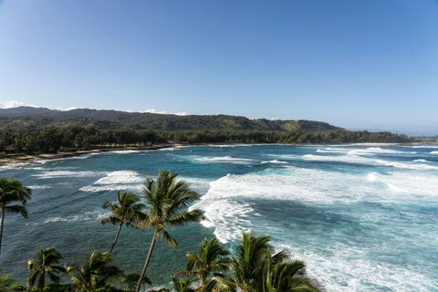 RITZ CARLTON OAHU TURTLE BAY - Photo 75