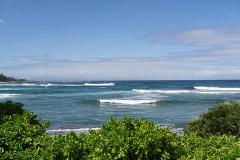 RITZ CARLTON OAHU TURTLE BAY - Photo 79