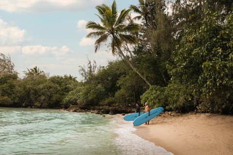 RITZ CARLTON OAHU TURTLE BAY - Photo 133