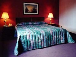  - Sinbads Hotel & Suites Gander