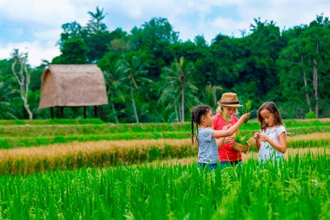 MANDAPA RITZ-CARLTON RESERVE - Photo 97