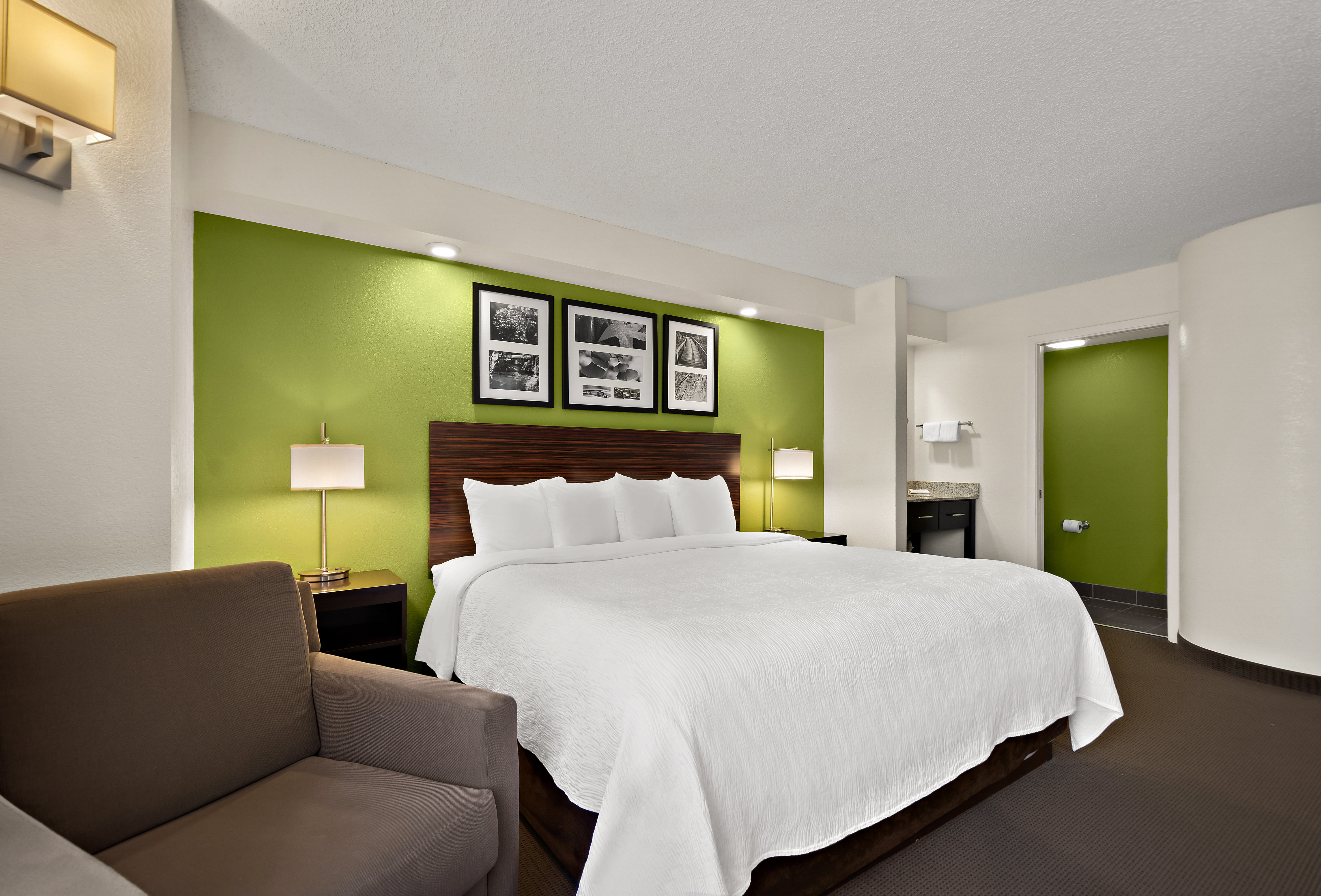 SPOT X HOTEL TAMPA - WESLEY CHAPEL-guestroom-Business King.jpg