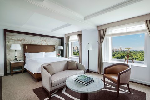 THE RITZ-CARLTON CENTRAL PARK - Photo 62