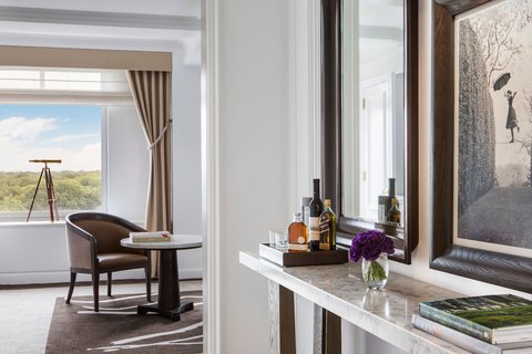 THE RITZ-CARLTON CENTRAL PARK - Photo 63