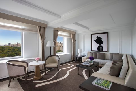 THE RITZ-CARLTON CENTRAL PARK - Photo 6