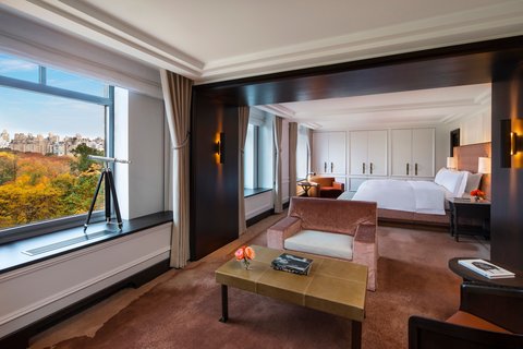 THE RITZ-CARLTON CENTRAL PARK - Photo 22