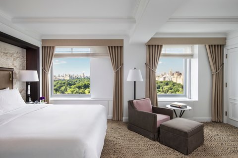 THE RITZ-CARLTON CENTRAL PARK - Photo 26