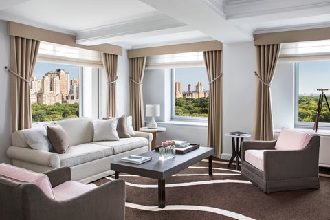 THE RITZ-CARLTON CENTRAL PARK - Photo 7