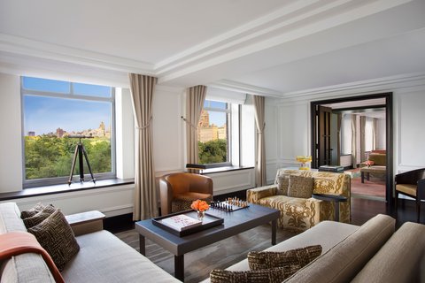 THE RITZ-CARLTON CENTRAL PARK - Photo 8