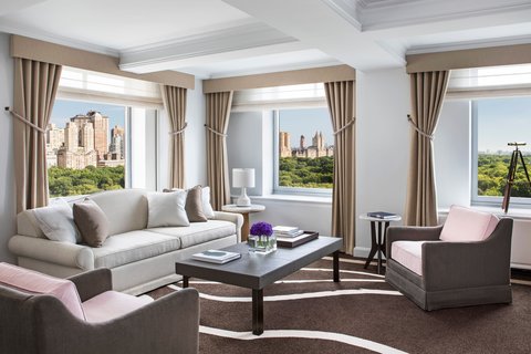 THE RITZ-CARLTON CENTRAL PARK - Photo 43