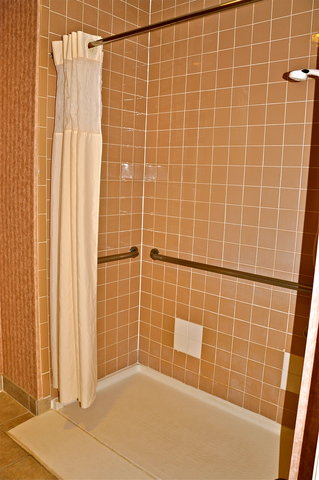 Handicapped Bathroom