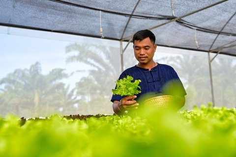 JW MARRIOTT KHAO LAK RESRT SPA - Photo 240