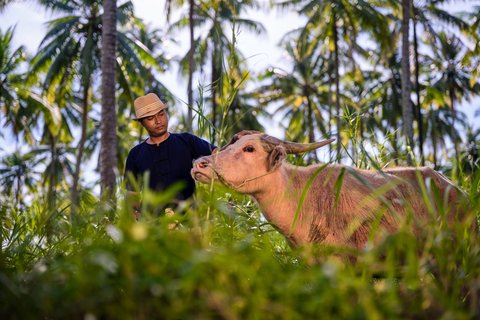 JW MARRIOTT KHAO LAK RESRT SPA - Photo 252