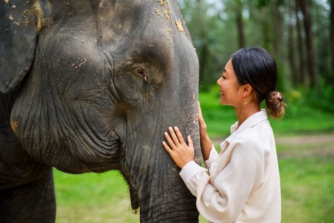 JW MARRIOTT KHAO LAK SUITES - Photo 356