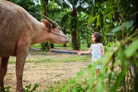 JW MARRIOTT KHAO LAK SUITES - Photo 362