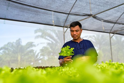 JW MARRIOTT KHAO LAK SUITES - Photo 366