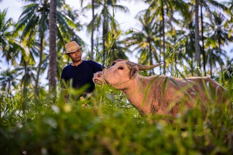 JW MARRIOTT KHAO LAK SUITES - Photo 373