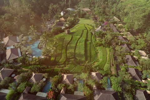 MANDAPA RITZ-CARLTON RESERVE - Photo 7