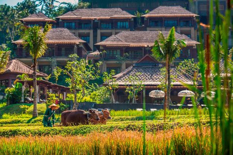 MANDAPA RITZ-CARLTON RESERVE - Photo 62