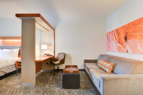 Suite - Living Area & Desk