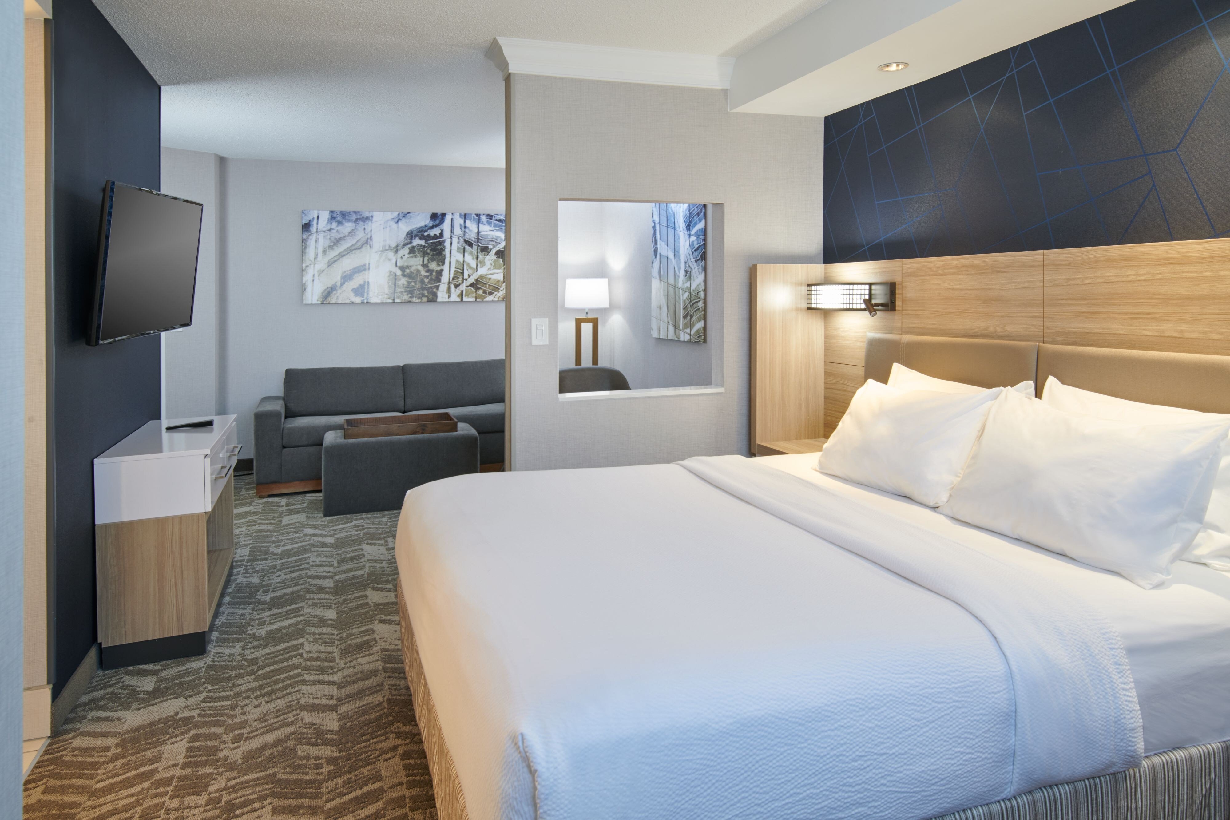 SpringHill Suites by Marriott Detroit Southfield, photo 3