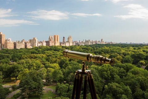 THE RITZ-CARLTON CENTRAL PARK - Photo 4