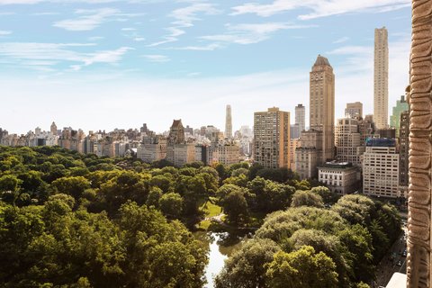 THE RITZ-CARLTON CENTRAL PARK - Photo 3