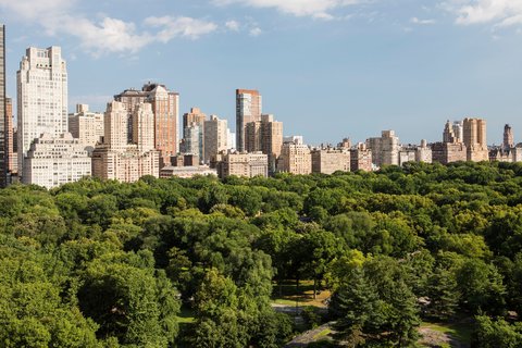 THE RITZ-CARLTON CENTRAL PARK - Photo 2
