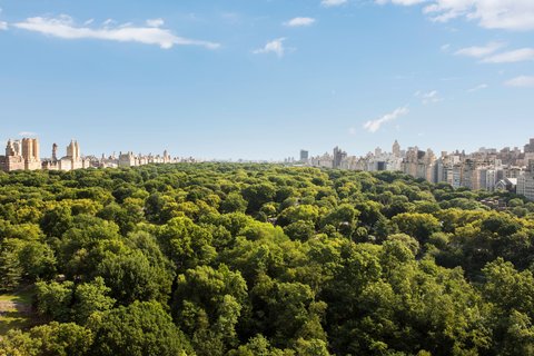 THE RITZ-CARLTON CENTRAL PARK - Photo 5