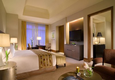 THE RITZ-CARLTON RESIDENCES - Photo 19