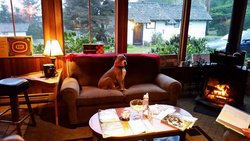  - Andiron Seaside Inn & Cabins Little River