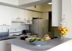  - Monte Carlo Miami Beach Condos