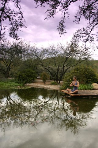 Meditation Pond