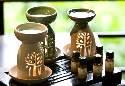 BANYAN TREE BINTAN - Photo 25