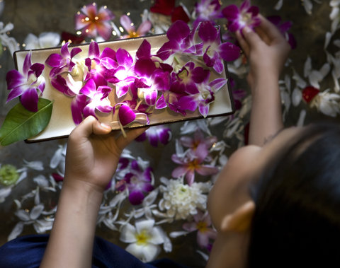 BANYAN TREE BINTAN - Photo 29