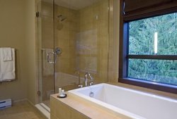  - Evolution Lodge Whistler